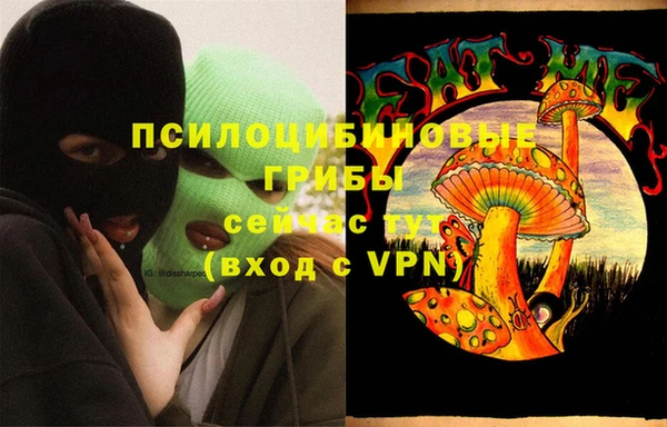 прущий лед Аркадак