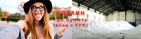 соль ск Няндома