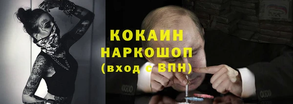 соль ск Няндома