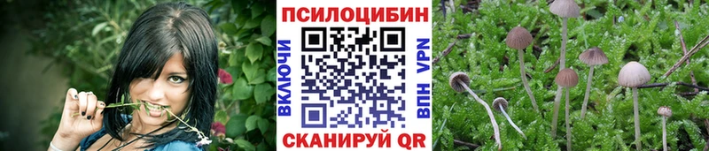 Галлюциногенные грибы MAGIC MUSHROOMS  Родники 